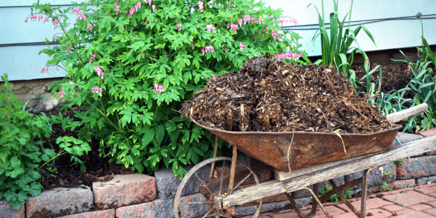 How much should a bag of mulch cost to install? GreenPal